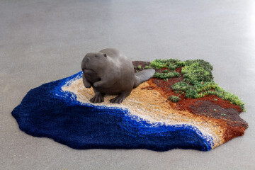 Vernissage SCALDIS - Josselyn David