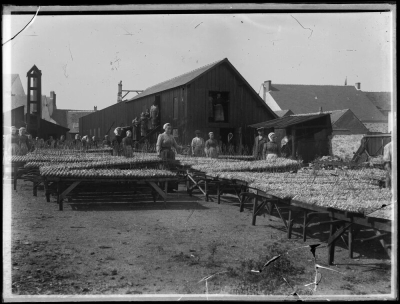 Douarnenez 1924, la grève des sardinières