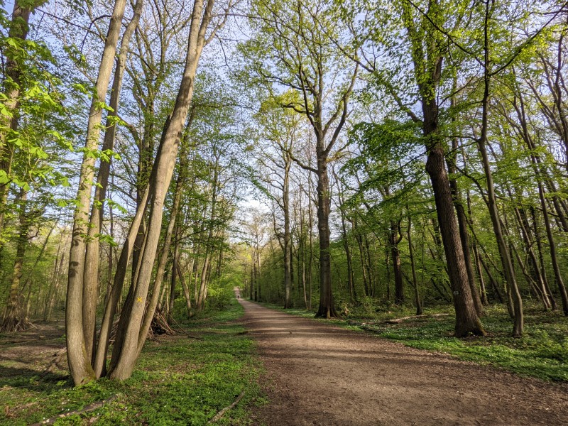 Tous en Forêt ! Les forestiers vous rencontrent en forêt régionale d'Ecouen