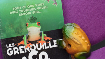 Heure des doudous - Les grenouilles
