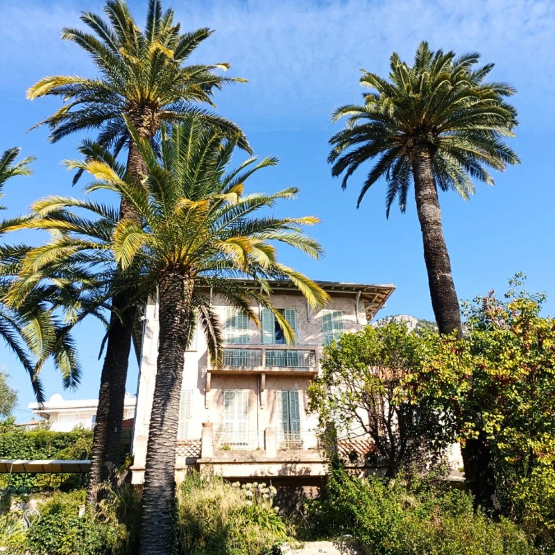 Atelier : Un après-midi dans les jardins d’Henri Matisse