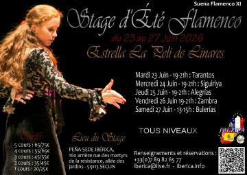 Stage flamenco Ibérica Seclin Lille - El verano suena flamenco XIème édition