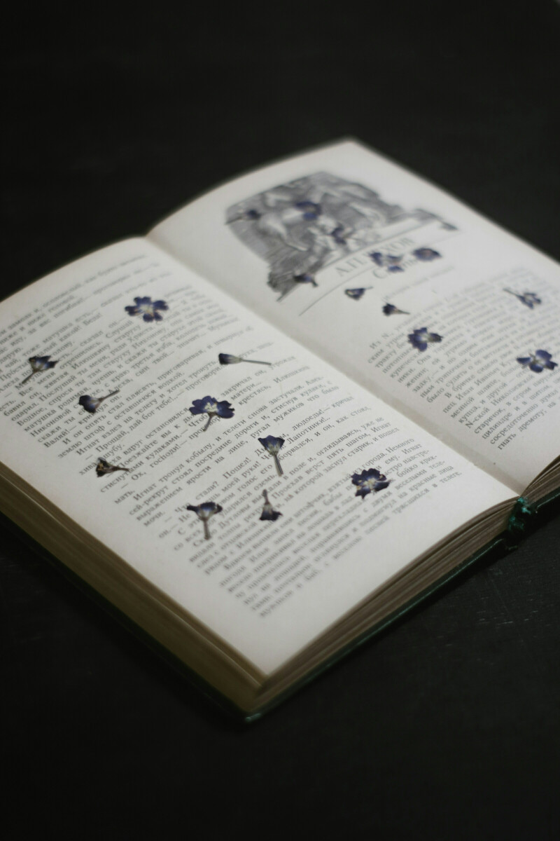 Formation adulte : herboristerie avec Diane Akriche