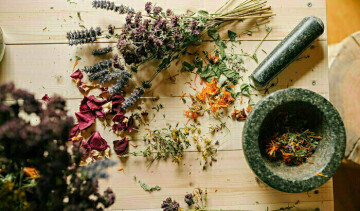 Atelier Plaisir de plantes