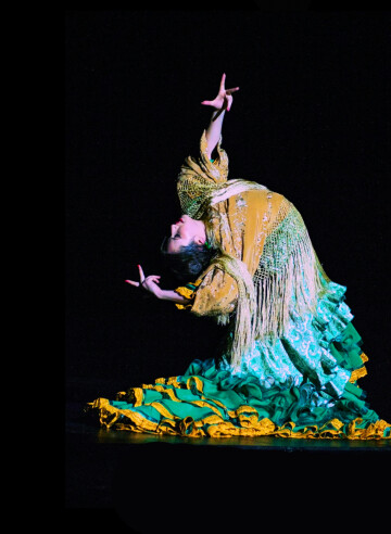 De l'archet au tacon : Voyage entre classique et flamenco