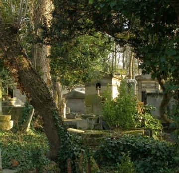 Découverte de la biodiversité au Père-Lachaise