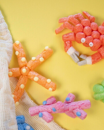 Visite-atelier : Bateaux et animaux marins