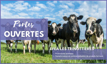 Portes ouvertes - Formations en élevage et transformation de produits fermiers (49)