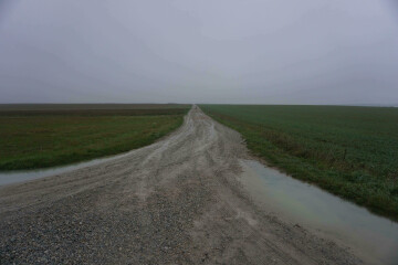 Les Disparitions (ambiantes et acousmatiques)