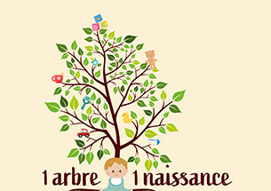 1 ARBRE 1 NAISSANCE