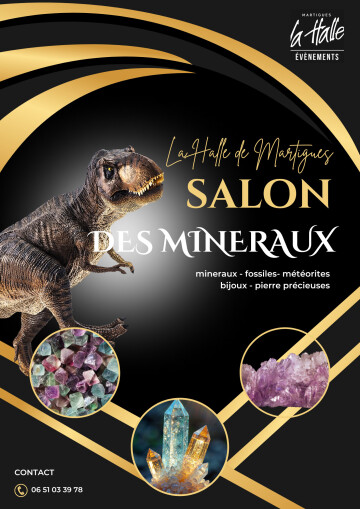 SALON DES MINERAUX