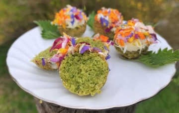 Goûter aux saveurs sauvages