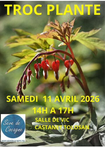 TROC PLANTES PRINTEMPS