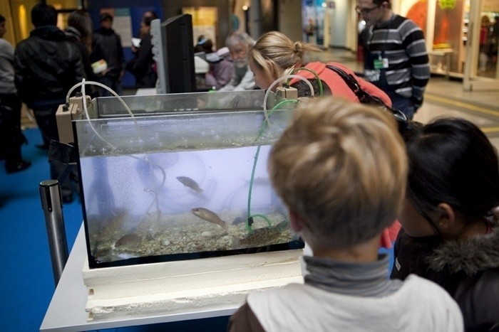 Panique dans l’aquarium : enquête dans le monde de l’azote