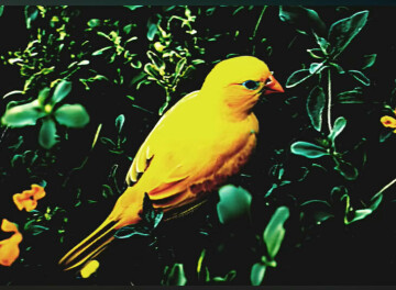 [SCROLL !] Serina : Le Grand Simulateur d'Évolution