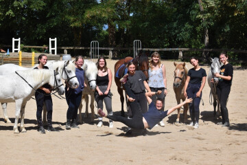 Tout pour l'équitation