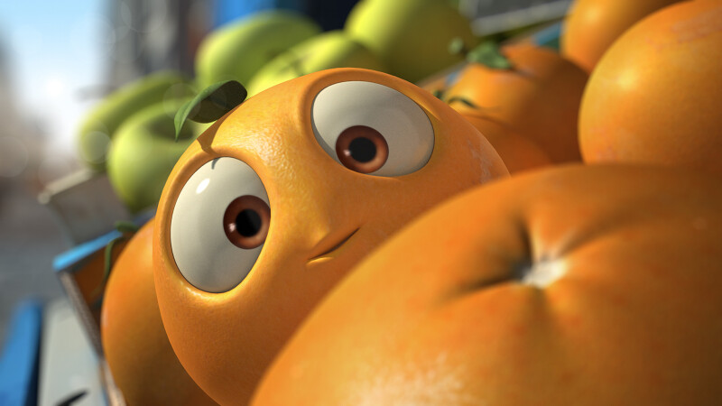 Projection de courts métrages le week-end au Muséum