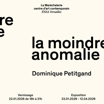 Dominique Petigand - La moindre anomalie