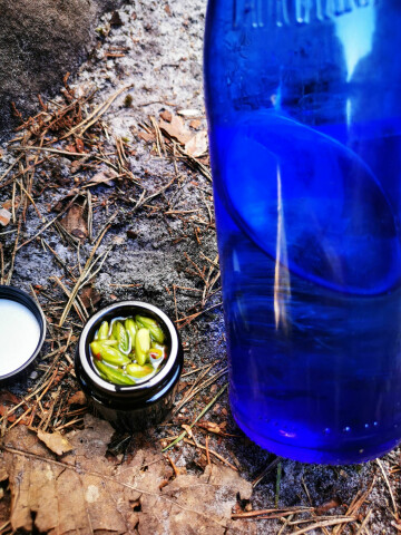 Gemmothérapie en forêt