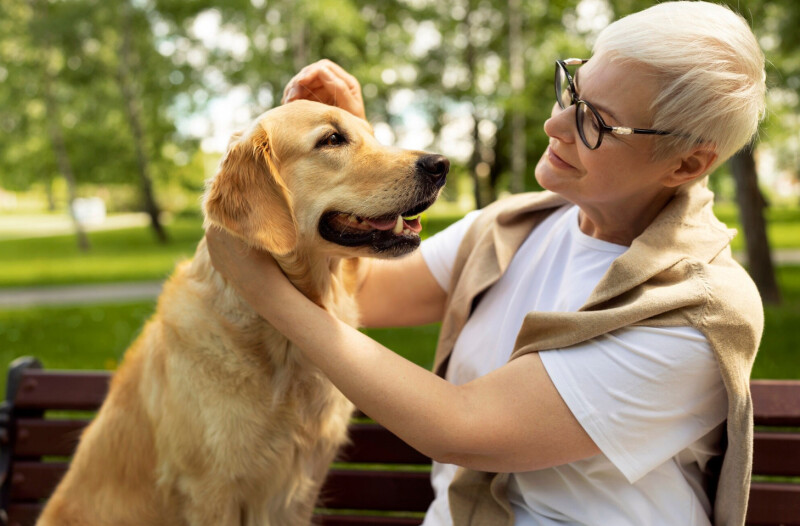 Animation seniors | Médiation animale