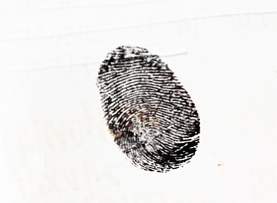 [Espace Roguet] L’empreinte de l’ange - Compagnie Samuel Mathieu