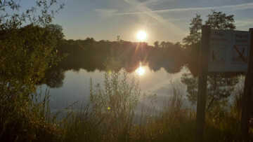 La forêt de Mormal contée par "Les Chemins de l'Ecureuil!"