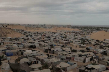 "We did what we could"