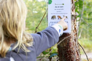 COMPLET | Rallye les animaux l’hiver