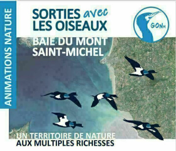 CAROLLES/50 :  animation GONm