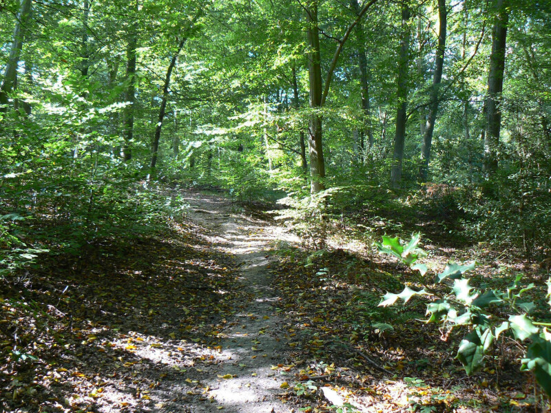 COMPLET | Escape Game : Aventures en pleine nature à Hénouville