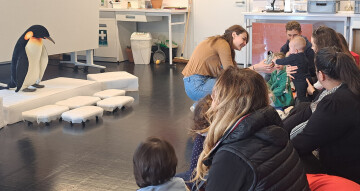 ATELIER 0-3 ANS : Une vie de manchot