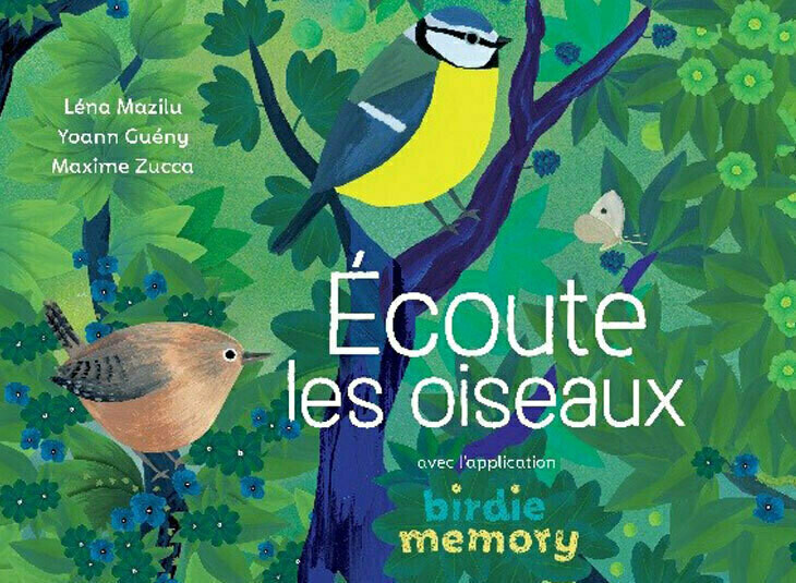 [SCROLL !] Oiseaux et numérique