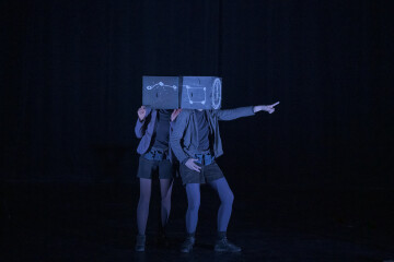 Les petites géométries