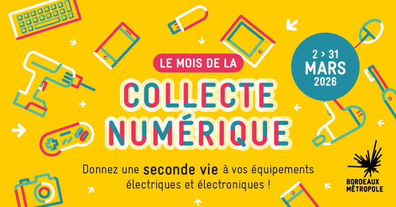 Professionnels, participez au mois de la collecte numérique