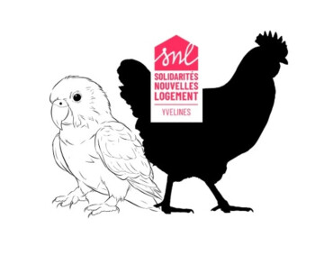 La Perruche et le Poulet de Robert Thomas