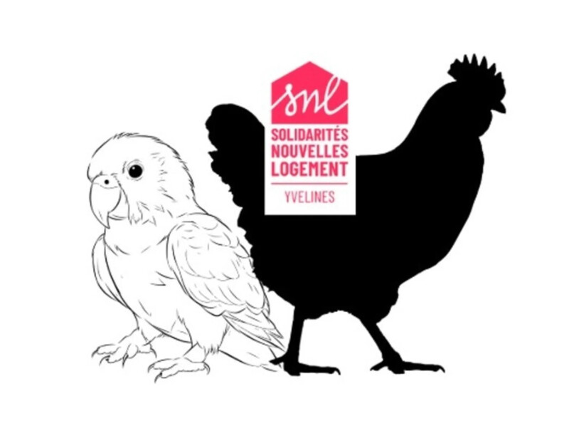 La Perruche et le Poulet de Robert Thomas