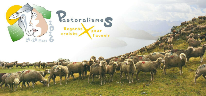 Pastoralismes, regards croisés pour l'avenir