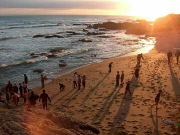A la découverte du milieu maritime en Vendée