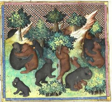 L’ours Européen, une Histoire Culturelle. Par Michel Pastoureau