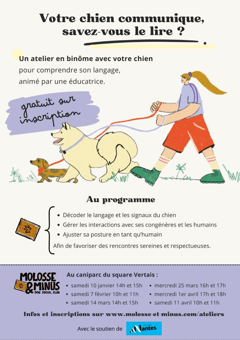 Connaissance du “parler chien” et gestion des interactions - Square Vertais