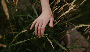 La nature et l’humain : amis ou ennemis ?