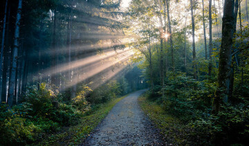Être consacré par le baptême, planté au cœur du monde