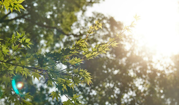 Vittoz et intériorité