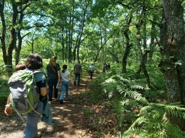 A la recherche de la plume perdue de Sisi la Cigogne