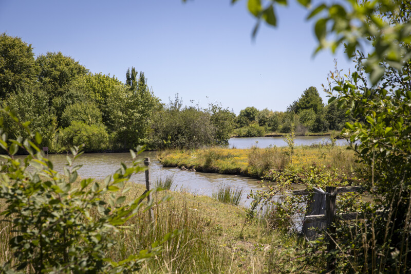Préservons la biodiversité : du Parc Floral à la Réserve Ecologique des Barails