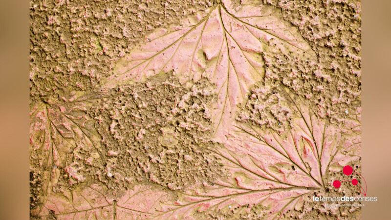 Exposition "Matières à rêver" : productions des classes de maternelle d'Issy-les-Moulineaux