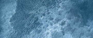 Paysages d'eau. Du réel au rêvé