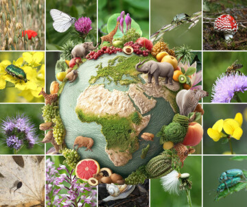 Animation biodiversité – Nuit du jeu