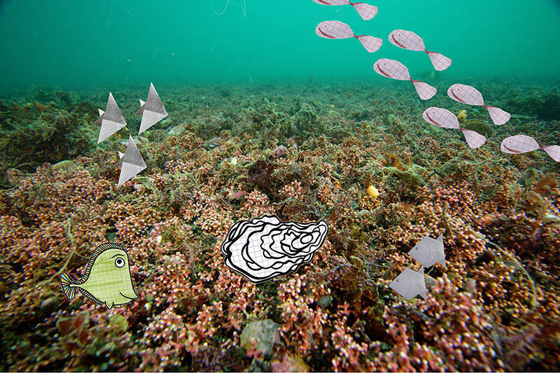 Poisson d’avril, poisson vinyle !