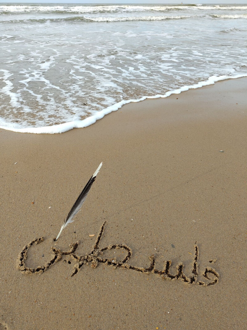 Palestine : une poésie dans la douleur